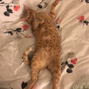 Meet your Posher, Jenna